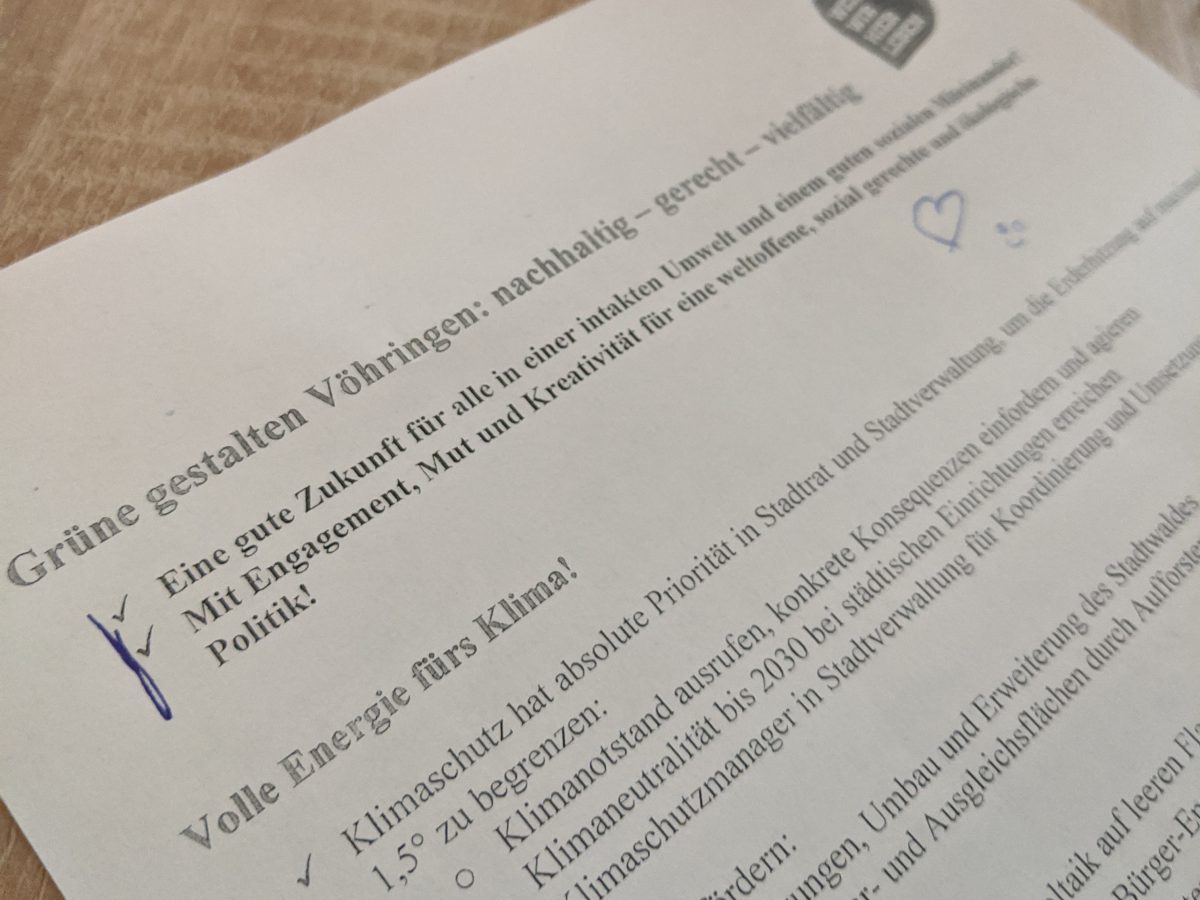 Wahlprogramm Stadtrat Vöhringen