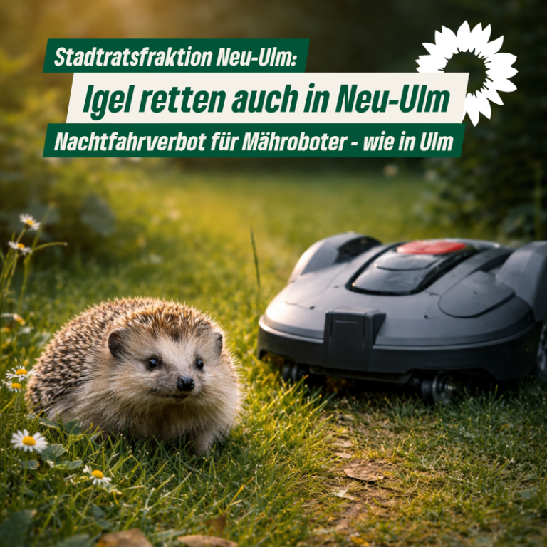 Igel schützen – Nachtfahrverbot für Mähroboter prüfen