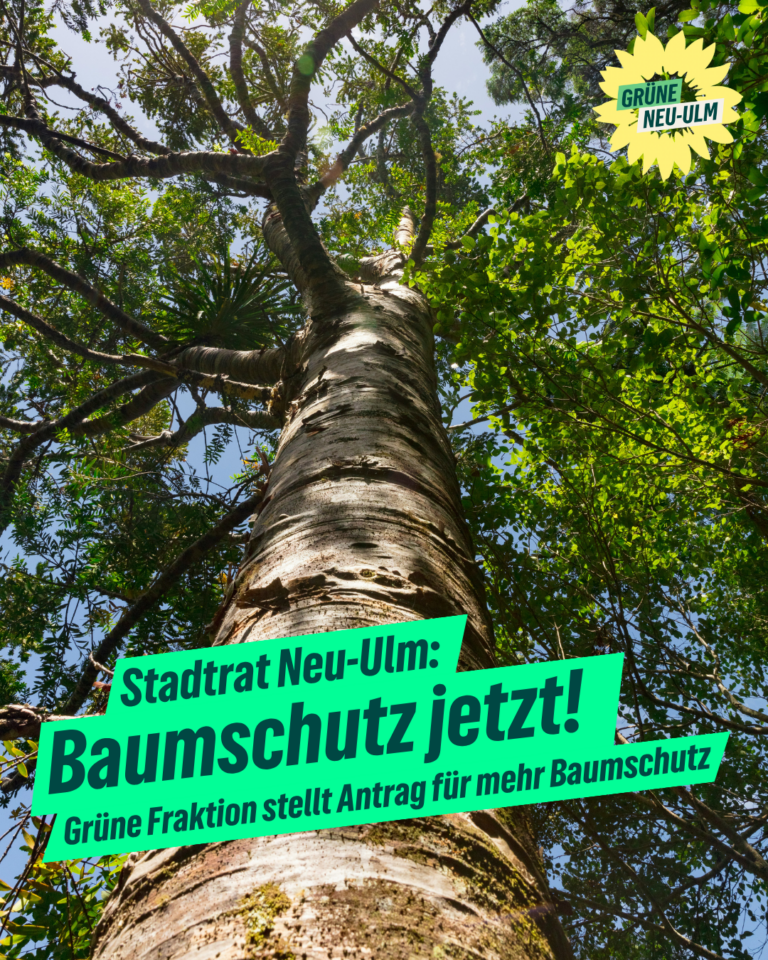 Neu-Ulm braucht mehr Schutz für seine Bäume