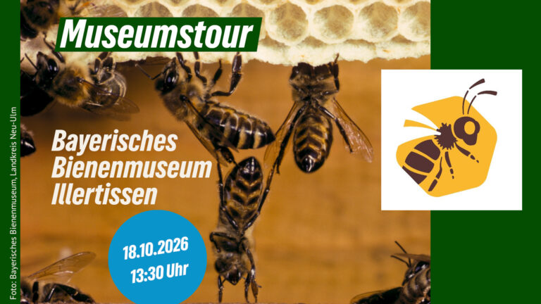 Grüne laden ein zum Besuch des Bienenmuseums in Illertissen